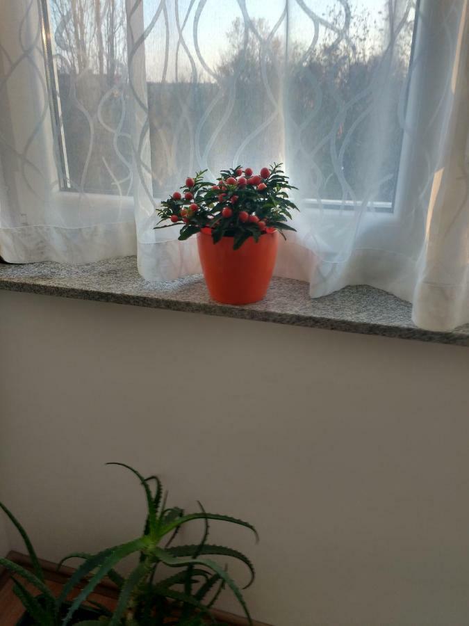 Meridian Apartment , 300M To Bus Terminal, Fast Wifi & Airport Transf Zagrzeb Zewnętrze zdjęcie